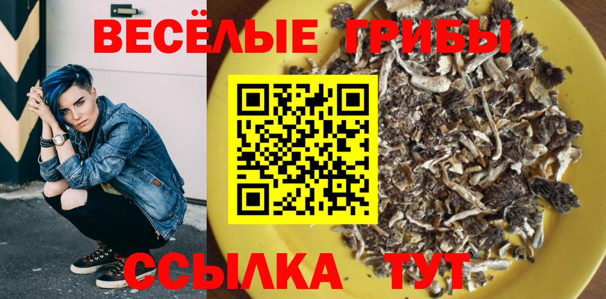 Псилоцибиновые грибы MAGIC MUSHROOMS Избербаш